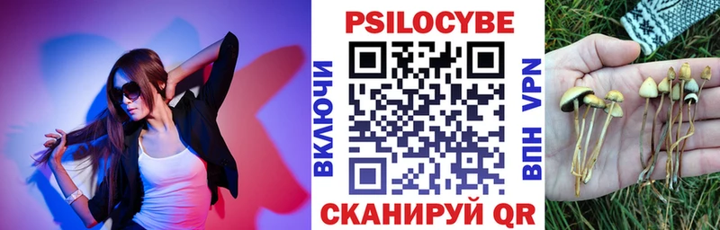 Псилоцибиновые грибы Psilocybine cubensis  купить  цена  кракен маркетплейс  Назрань 